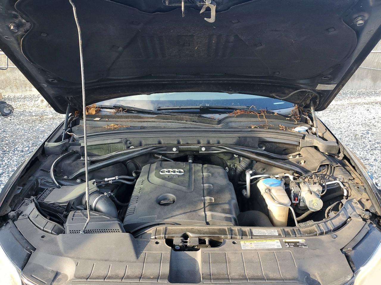 2013 Audi Q5 Premium Plus Black vin: WA1LFAFPXDA051750