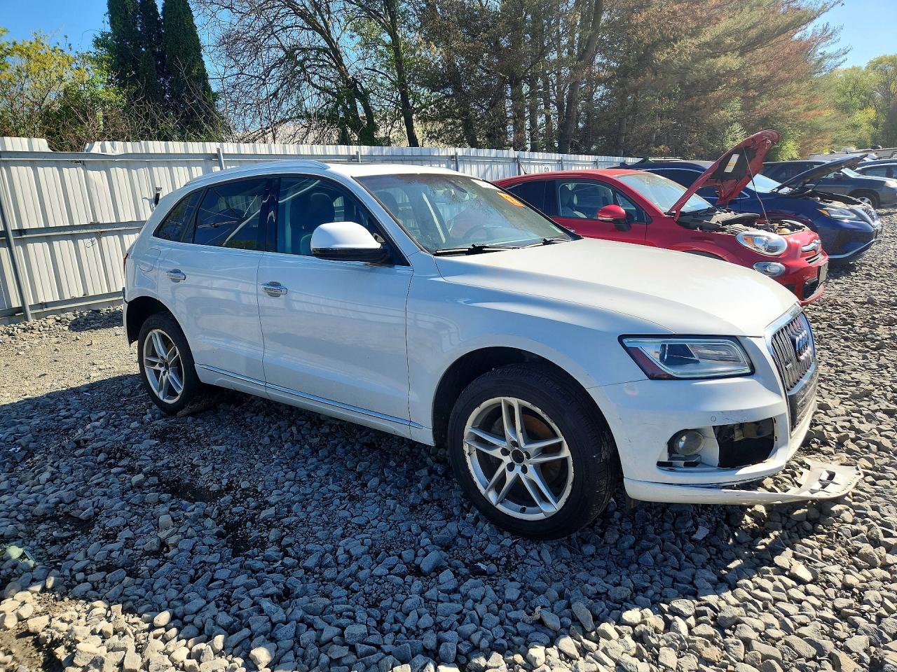 2015 Audi Q5 Premium Plus White vin: WA1LFAFPXFA109200