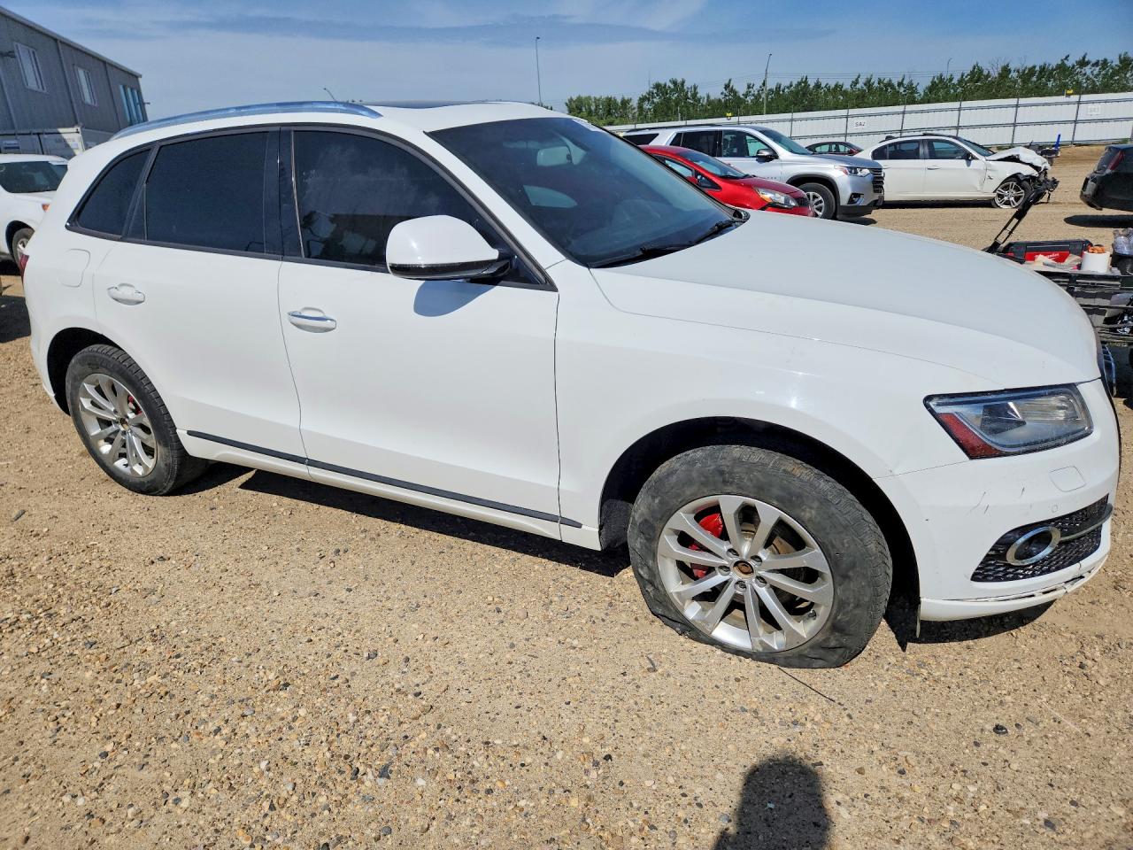 2015 Audi Q5 Premium Plus White vin: WA1LFCFP2FA115066