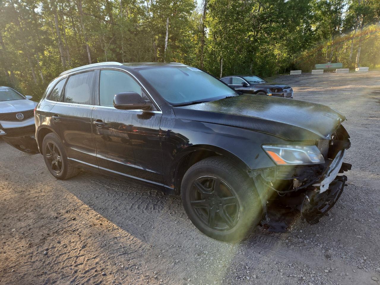 2012 Audi Q5 Premium Plus Black vin: WA1LFCFP7CA100722