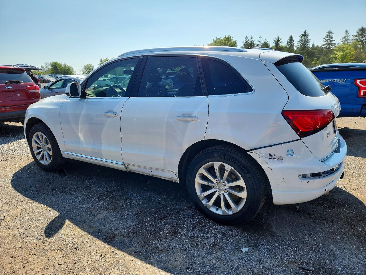 2015 Audi Q5 Premium Plus White vin: WA1LFCFP7FA077818