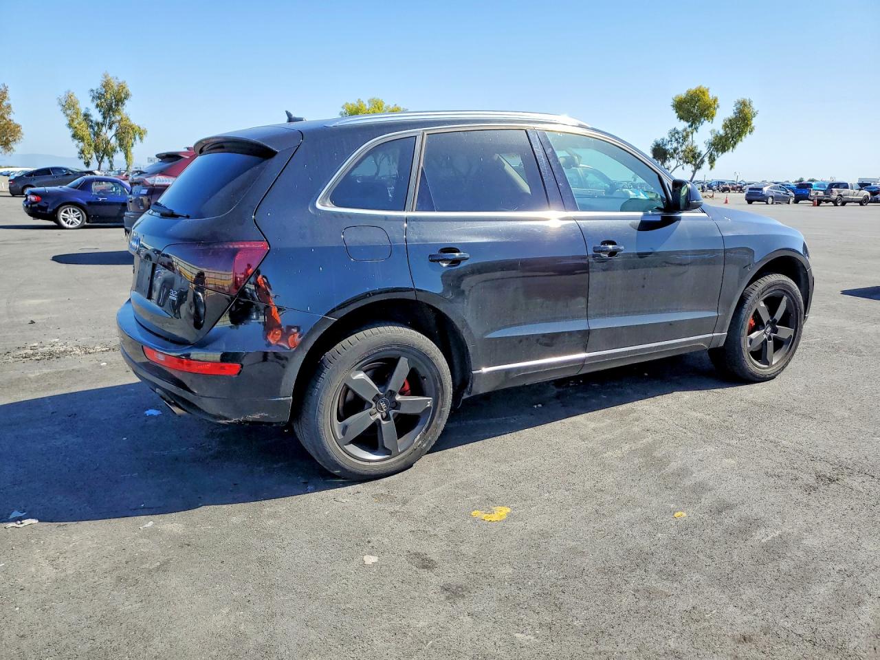 2010 Audi Q5 Premium Plus Black vin: WA1LKAFP0AA079208