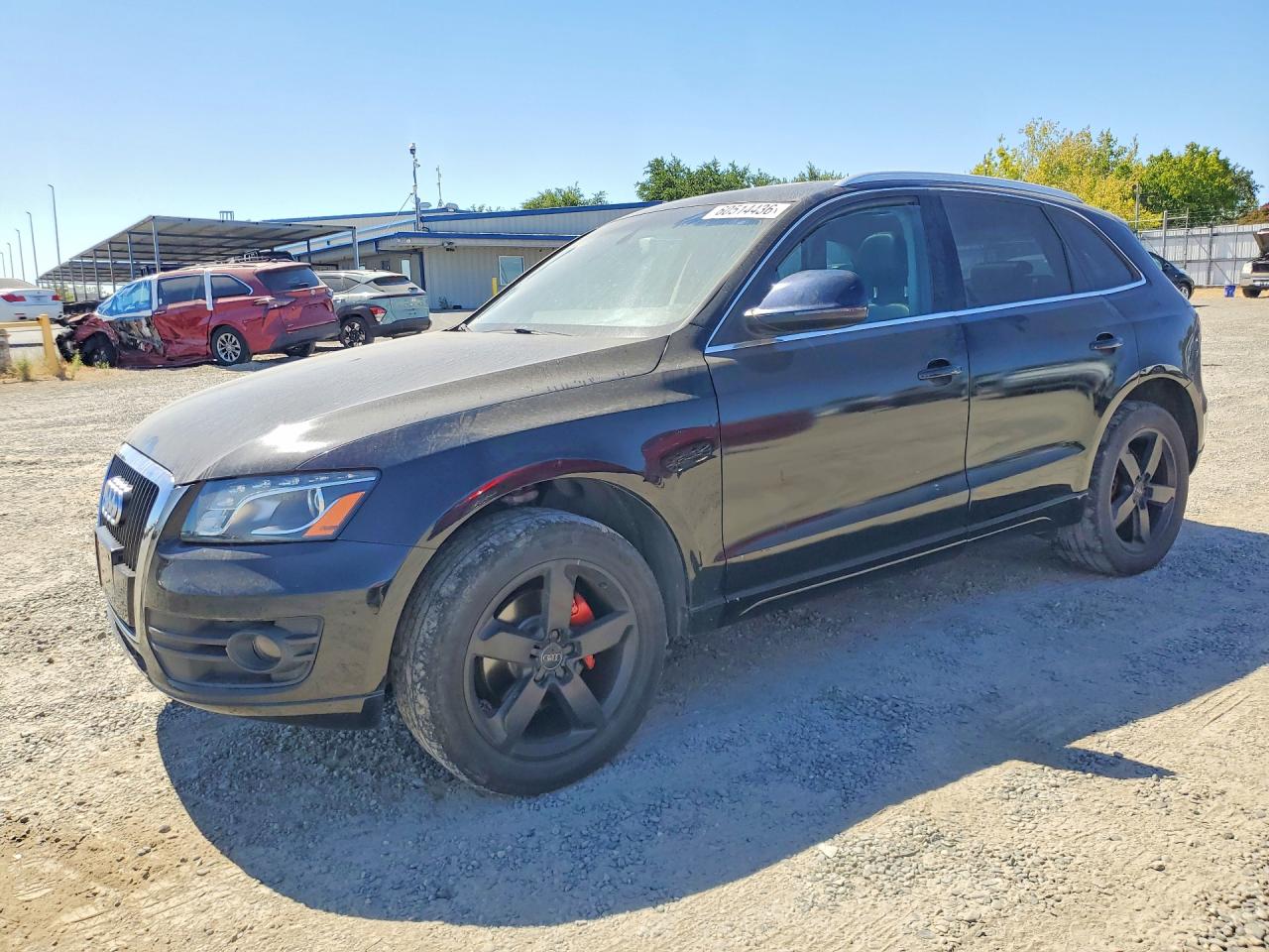 2010 Audi Q5 Premium Plus Black vin: WA1LKAFP0AA079208