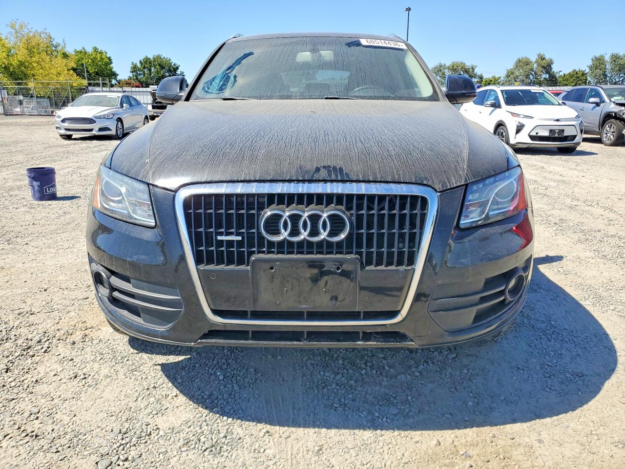 2010 Audi Q5 Premium Plus Black vin: WA1LKAFP0AA079208