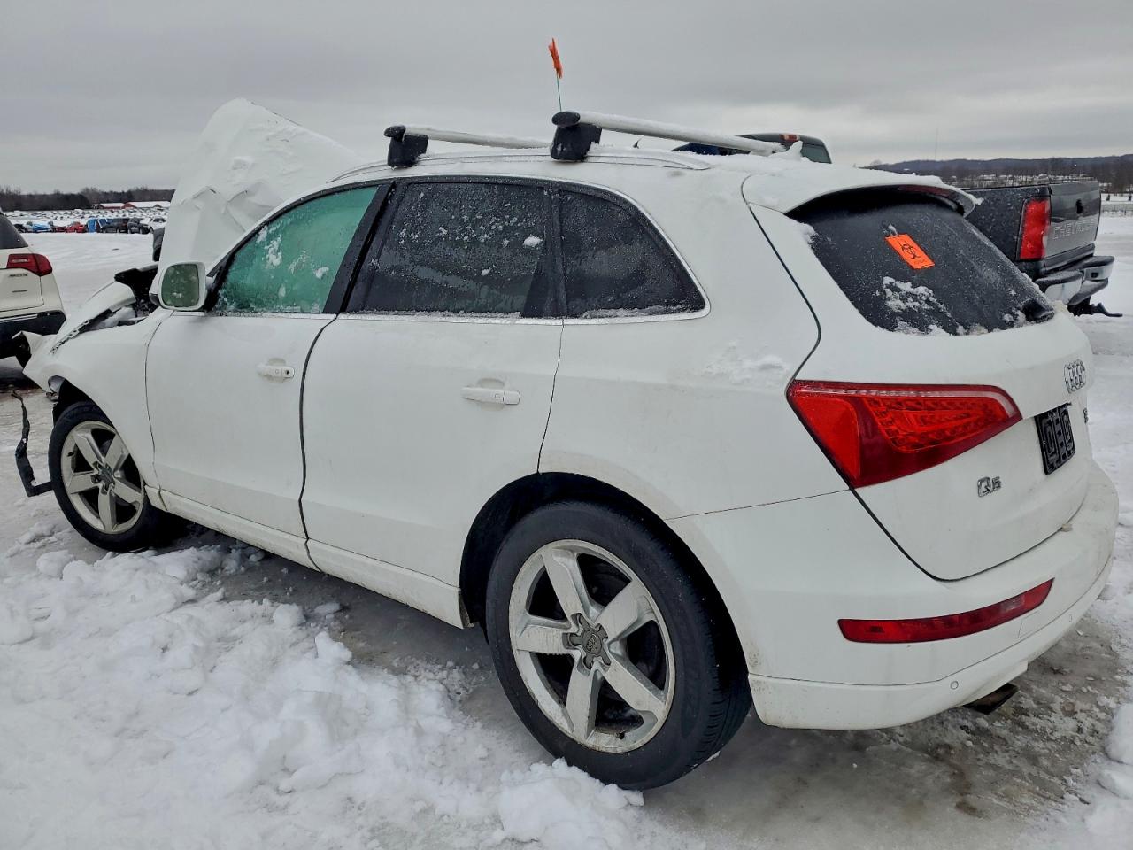2010 Audi Q5 Premium Plus White vin: WA1LKAFP2AA017650