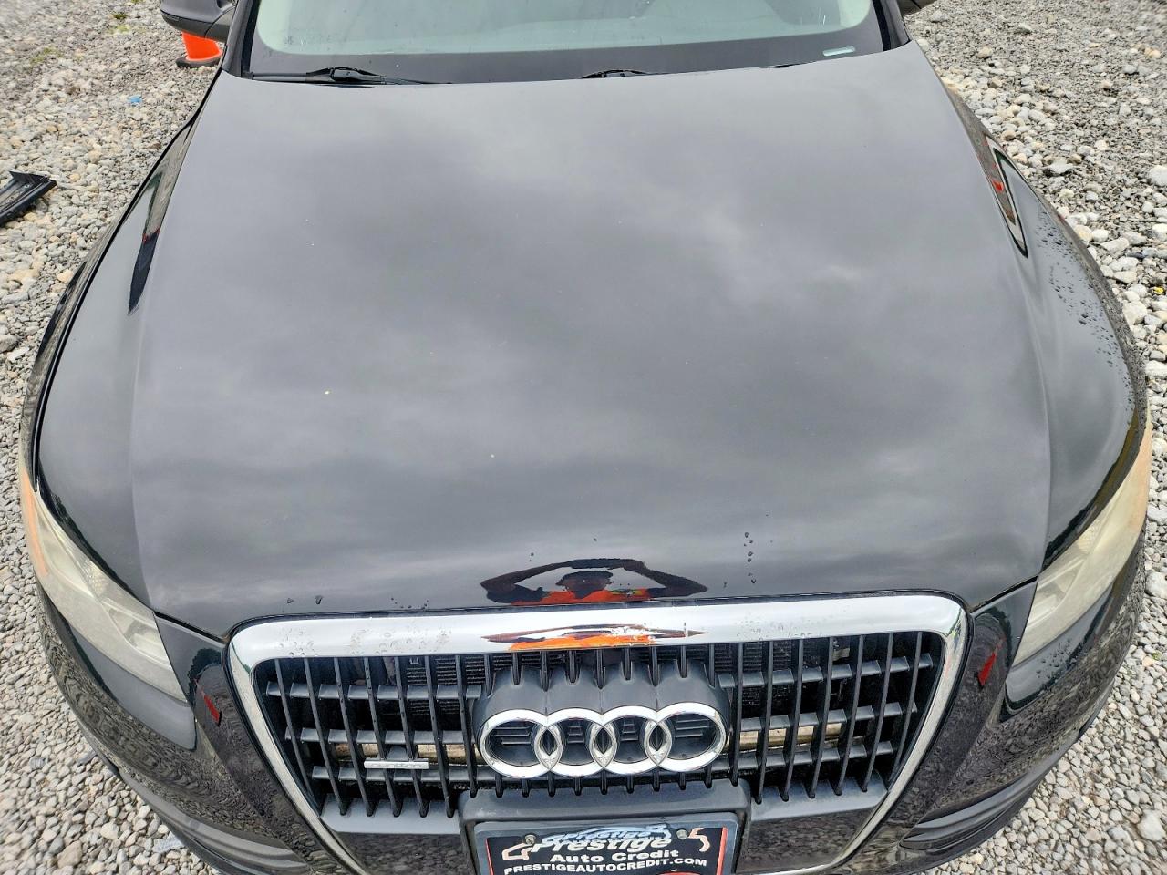 2010 Audi Q5 Premium Plus Черный vin: WA1LKAFP2AA030513