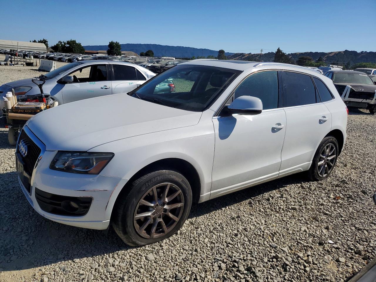 2010 Audi Q5 Premium Plus White vin: WA1LKAFP8AA064844