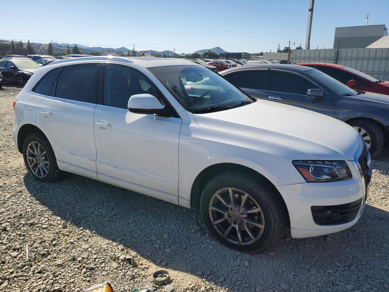 2010 Audi Q5 Premium Plus White vin: WA1LKAFP8AA064844