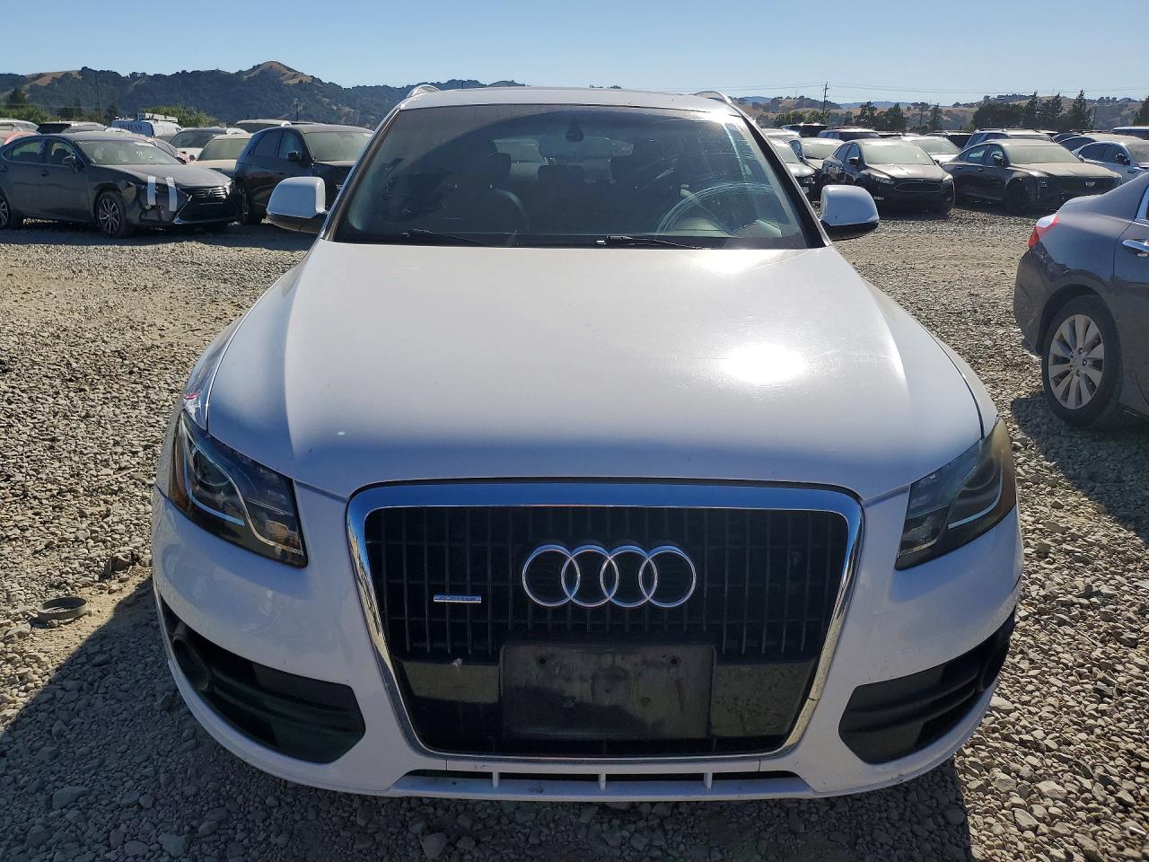 2010 Audi Q5 Premium Plus White vin: WA1LKAFP8AA064844