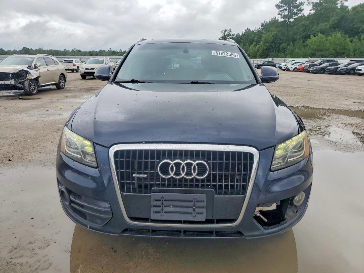 2010 Audi Q5 Premium Plus Blue vin: WA1LKAFPXAA012230