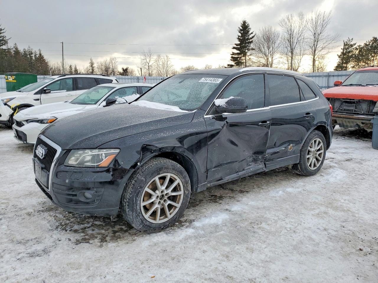 2010 Audi Q5 Premium Plus Black vin: WA1LKCFP0AA093458