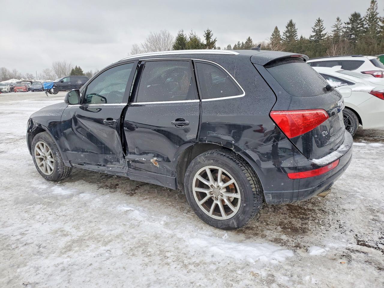 2010 Audi Q5 Premium Plus Black vin: WA1LKCFP0AA093458