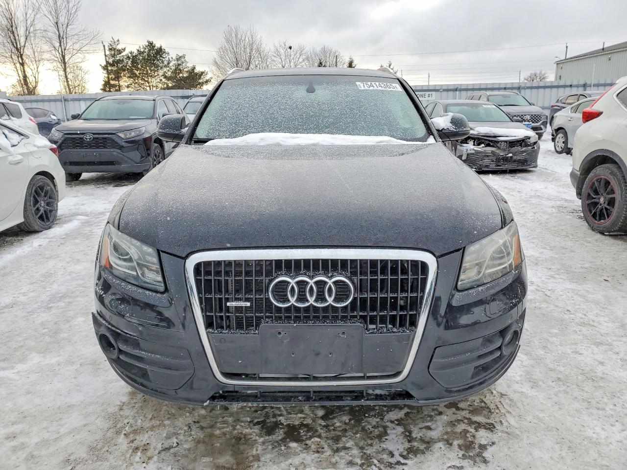 2010 Audi Q5 Premium Plus Black vin: WA1LKCFP0AA093458