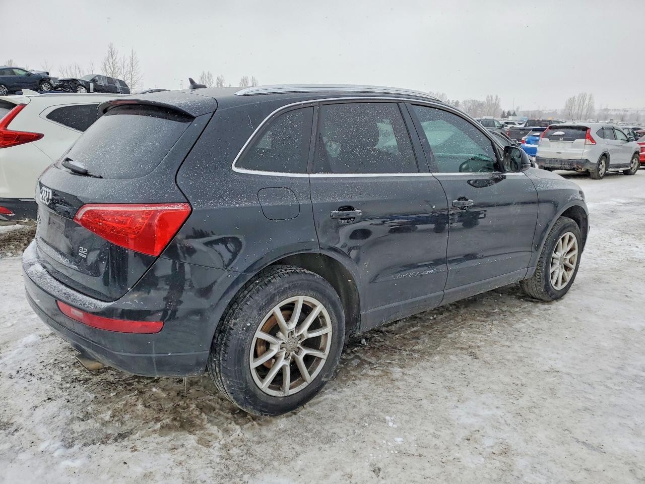 2010 Audi Q5 Premium Plus Black vin: WA1LKCFP0AA093458