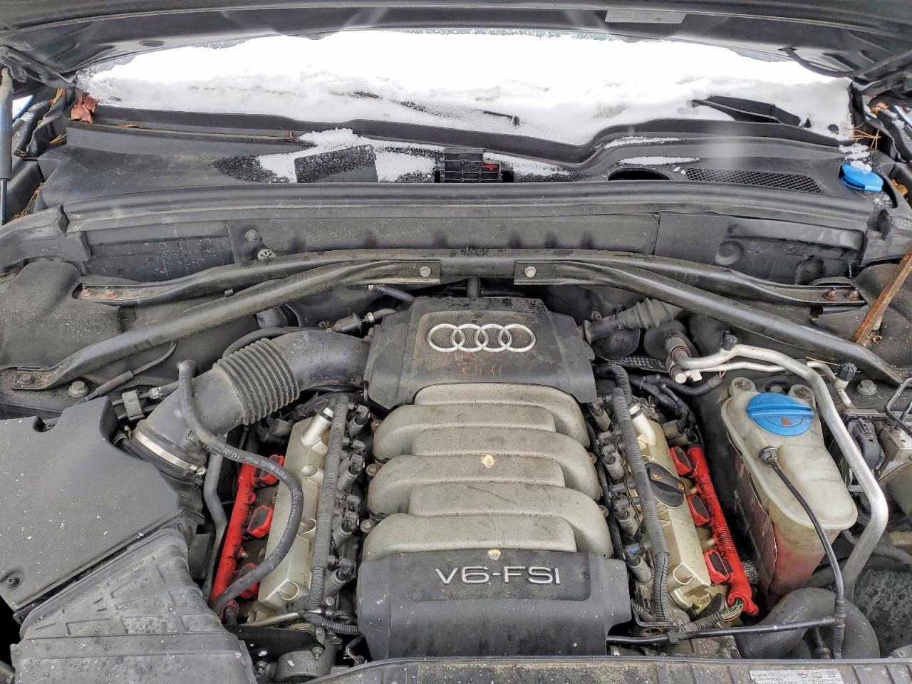 2010 Audi Q5 Premium Plus Black vin: WA1LKCFP0AA093458