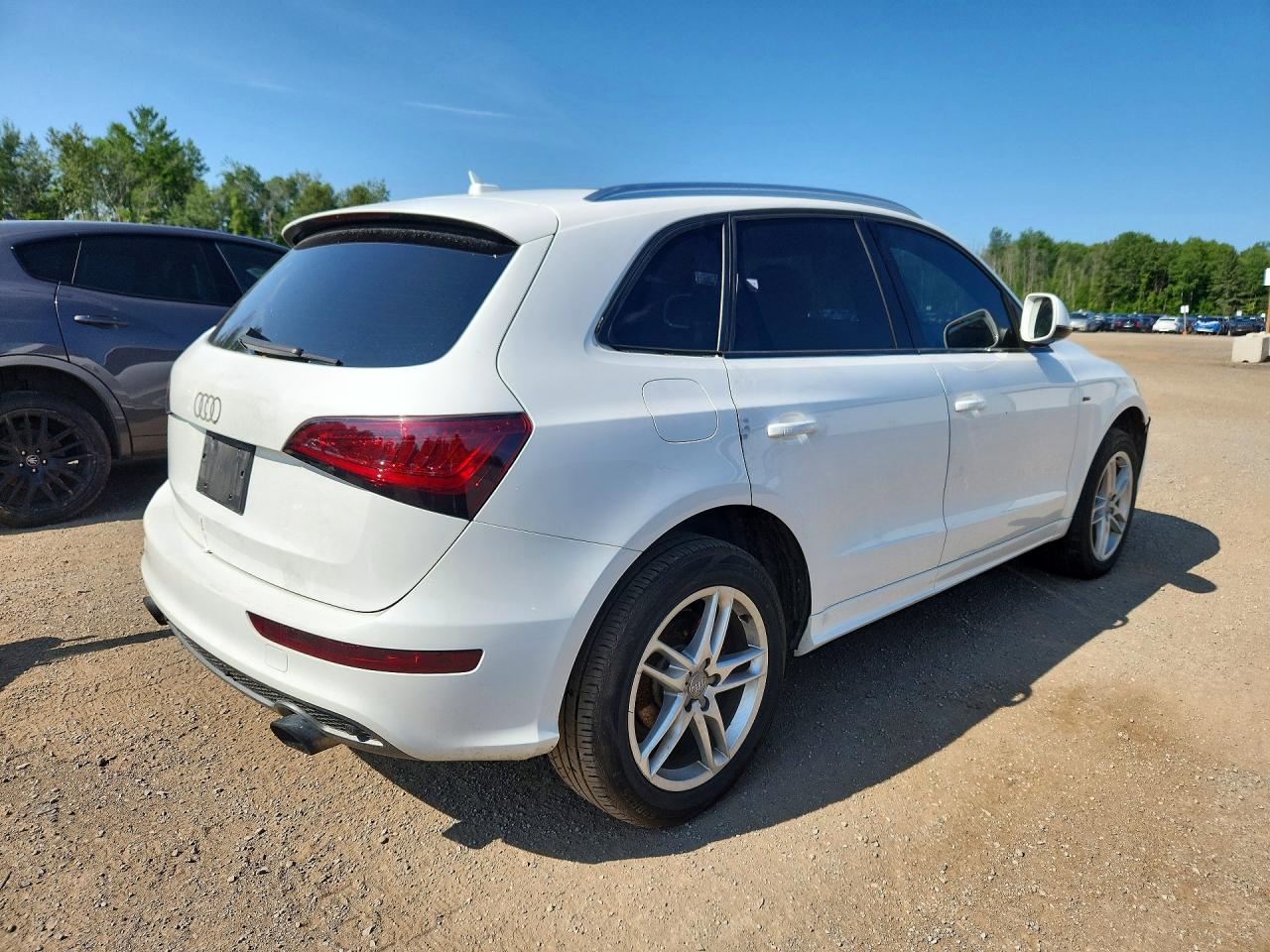2014 Audi Q5 Progressiv White vin: WA1MFCFP3EA115502
