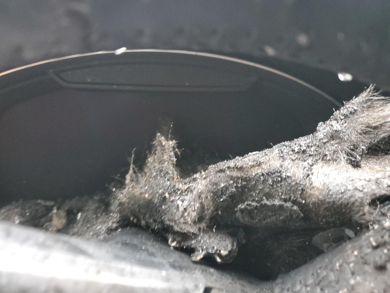 2018 Audi Q7 Prestige Charcoal vin: WA1VAAF76JD018018