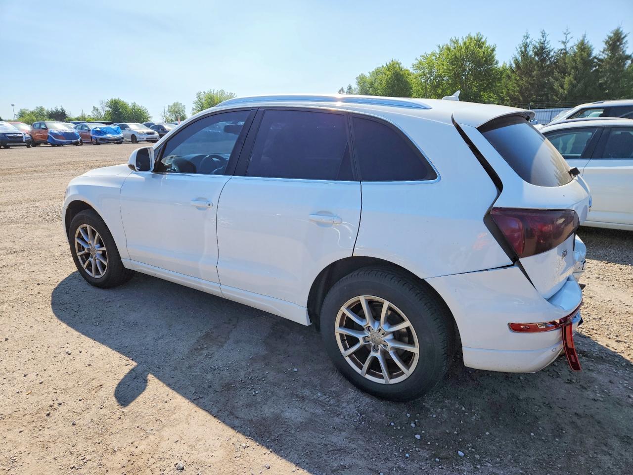 2012 Audi Q5 Premium Plus White vin: WA1VFCFP2CA015649
