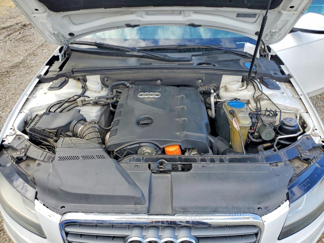 2012 Audi A4 Premium White vin: WAUAFAFL8CN017417