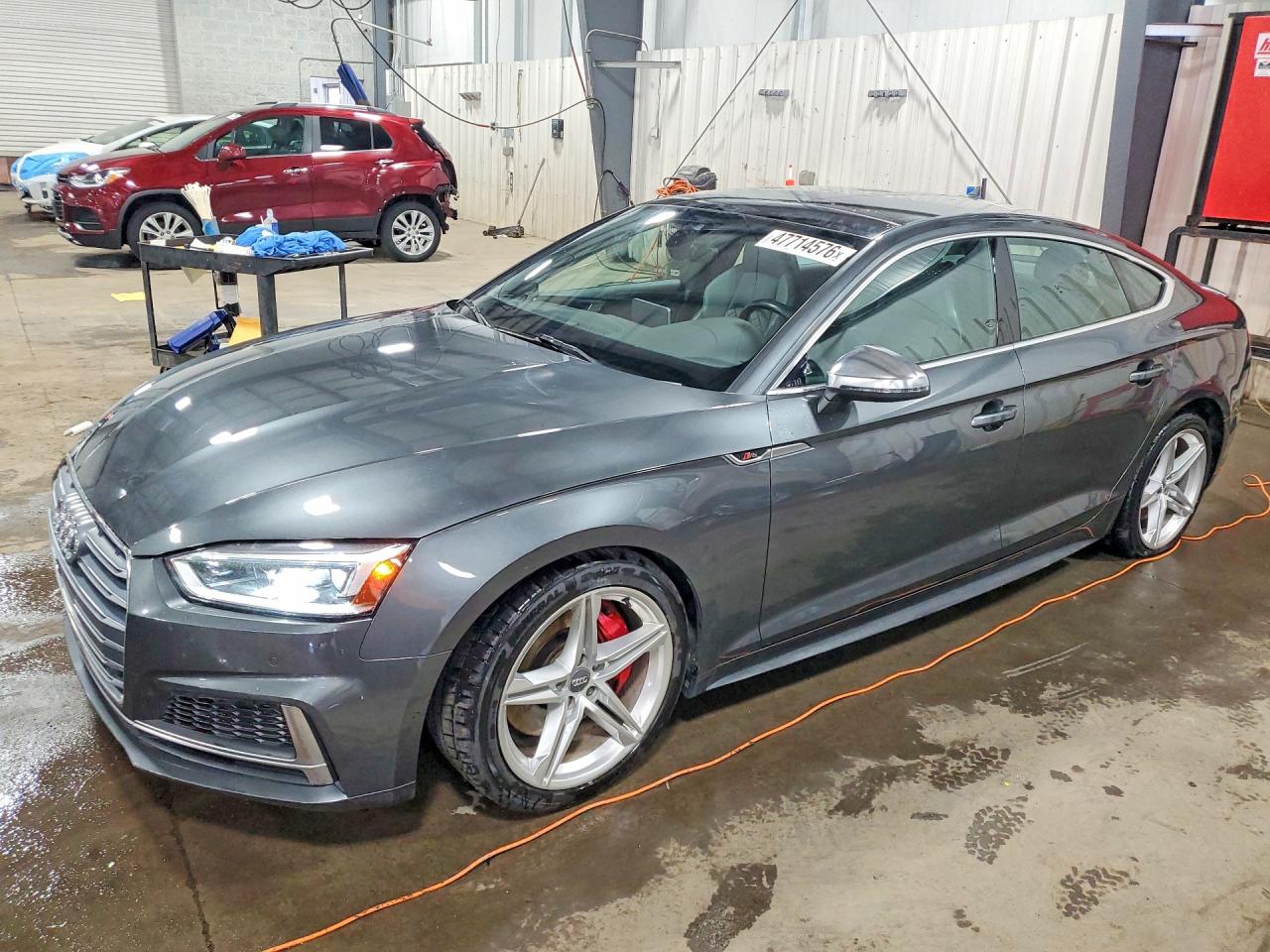 2019 Audi S5 Premium Plus Gray vin: WAUB4CF5XKA075719