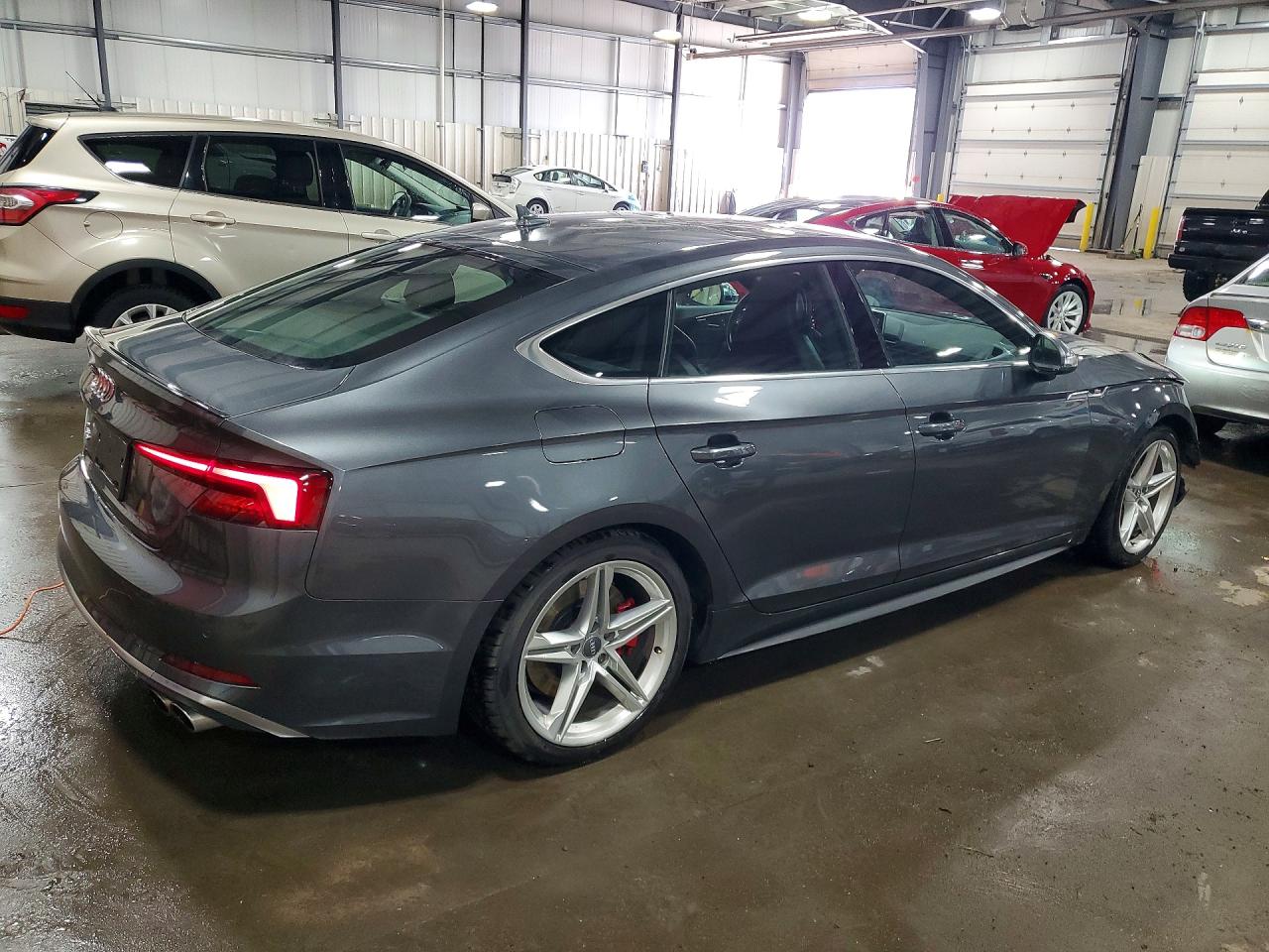 2019 Audi S5 Premium Plus Gray vin: WAUB4CF5XKA075719
