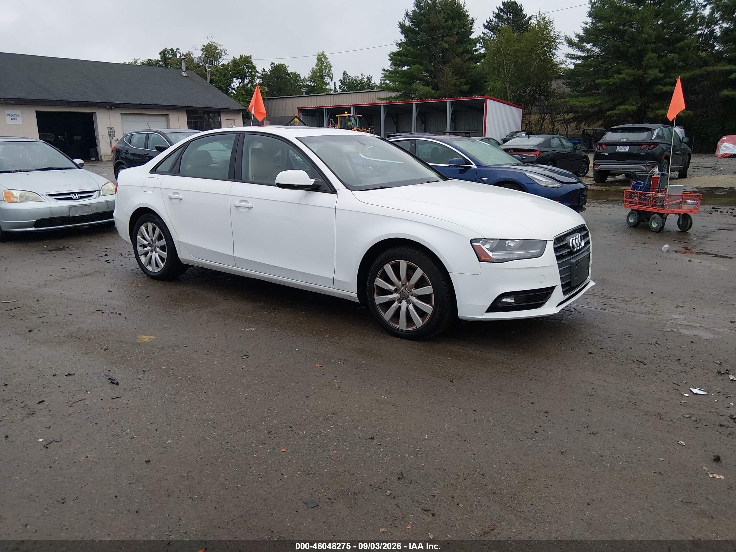 2013 Audi A4 2.0t Premium White vin: WAUBFAFL3DN020991