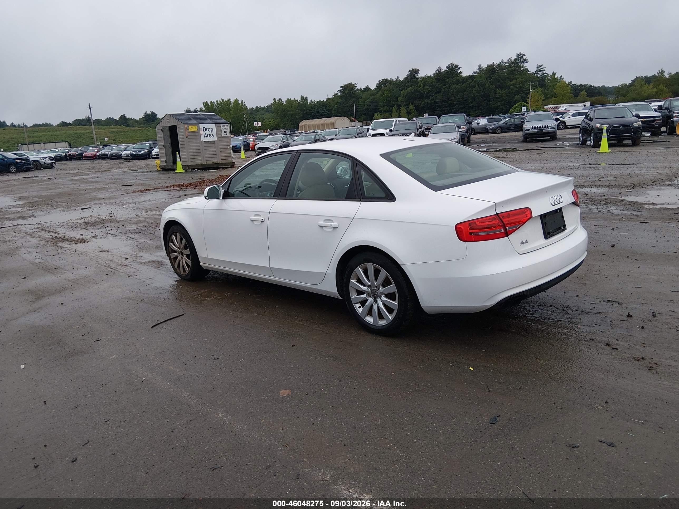 2013 Audi A4 2.0t Premium White vin: WAUBFAFL3DN020991
