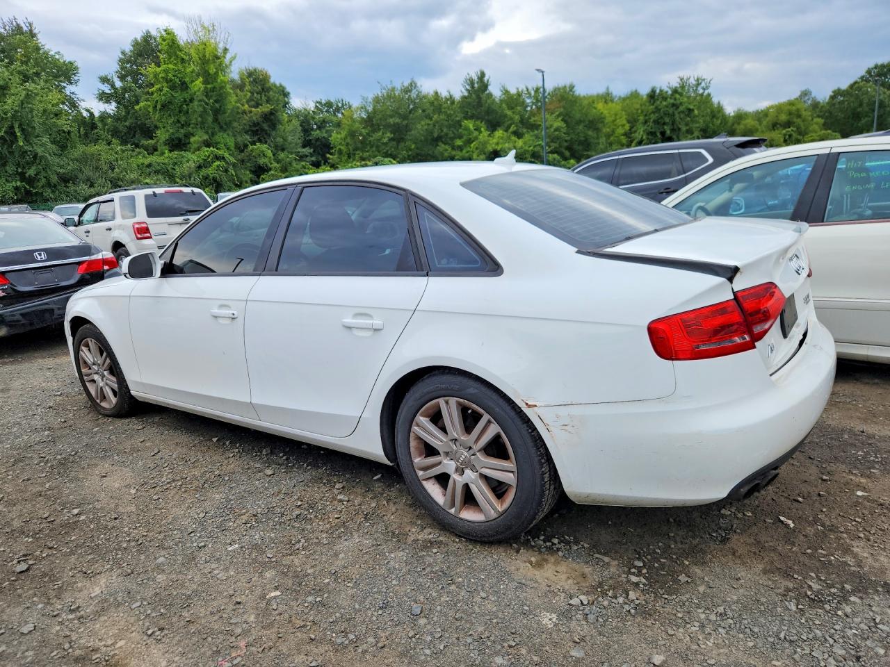 2010 Audi A4 Premium White vin: WAUBFAFL5AN035682