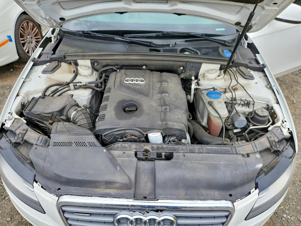 2010 Audi A4 Premium White vin: WAUBFAFL5AN035682