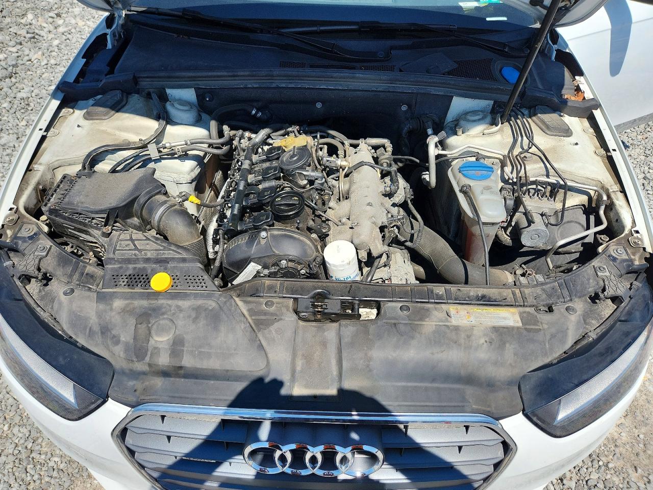 2014 Audi A4 Premium White vin: WAUBFAFL5EA031225