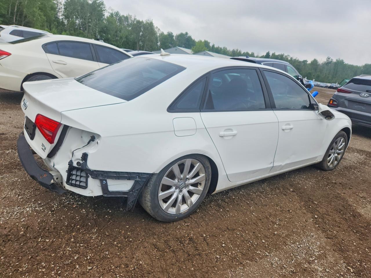 2014 Audi A4 Premium White vin: WAUBFCFL9EN001360