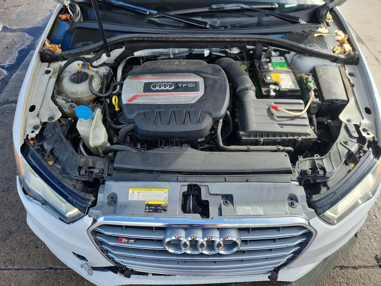 2015 Audi S3 Premium Plus White vin: WAUBFGFF2F1080252