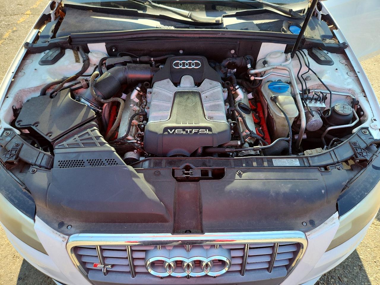2011 Audi S4 Premium Plus White vin: WAUBGAFL8BA045564