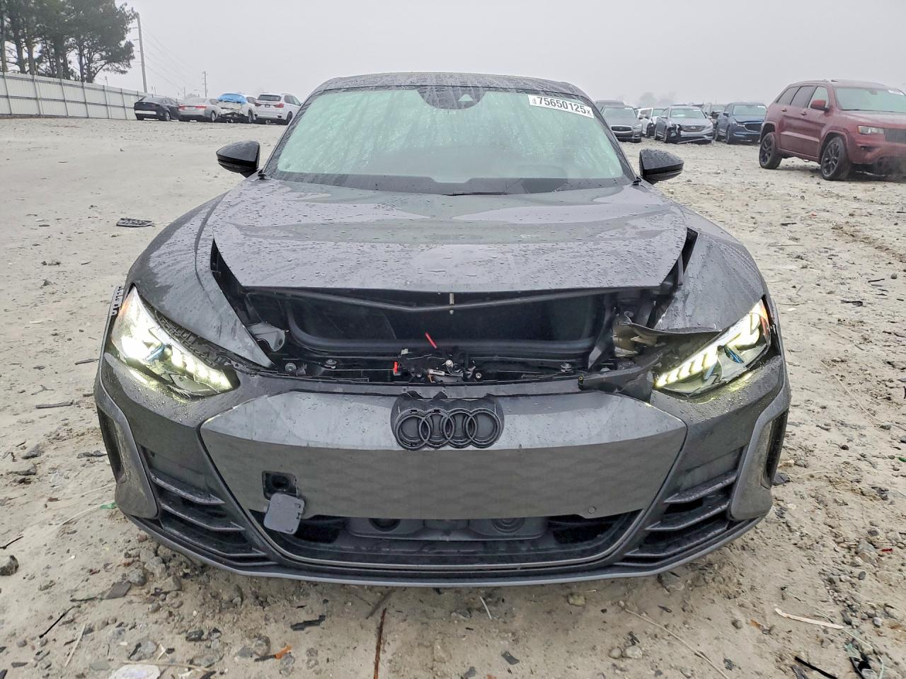2024 Audi Rs E-tron Gt Gray vin: WAUBHBFW8R7901384