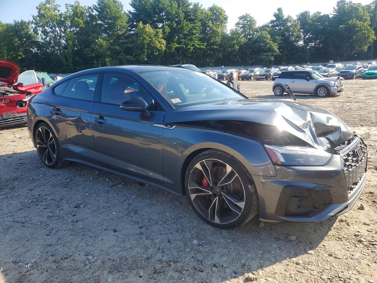 2021 Audi S5 Premium Plus Gray vin: WAUC4CF56MA046192