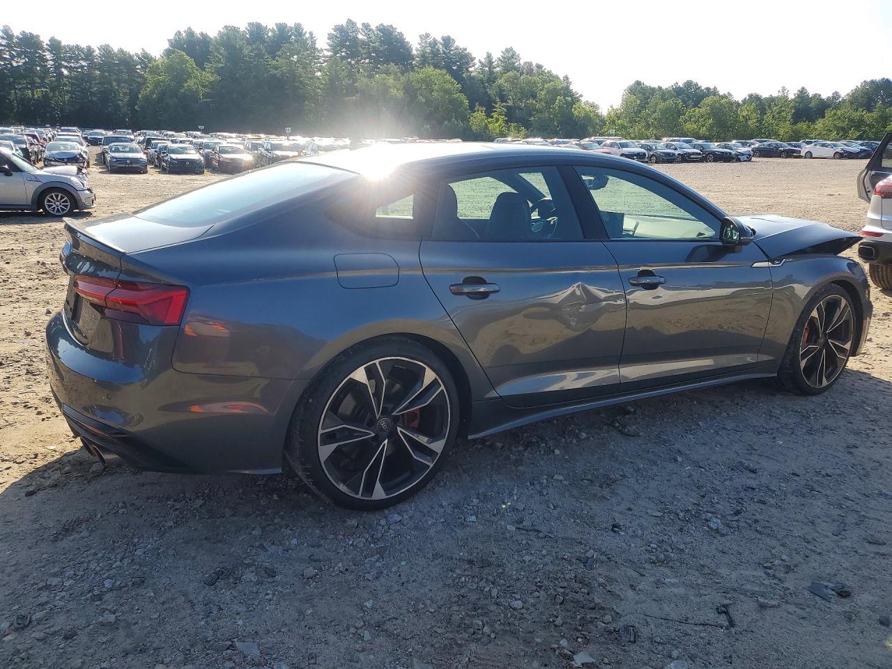 2021 Audi S5 Premium Plus Gray vin: WAUC4CF56MA046192