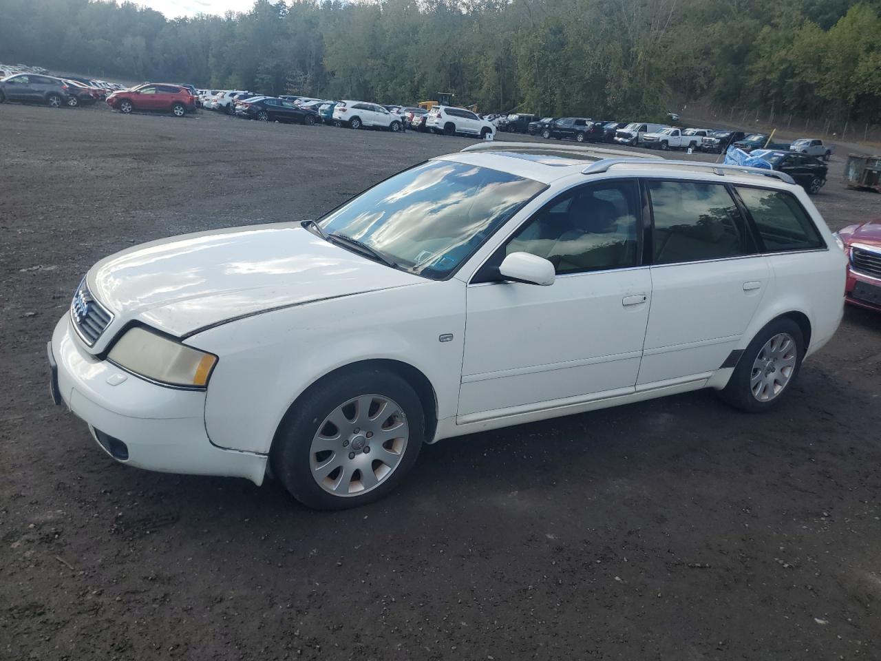 1999 Audi A6 Avant Quattro Белый vin: WAUDA24B8XN028533