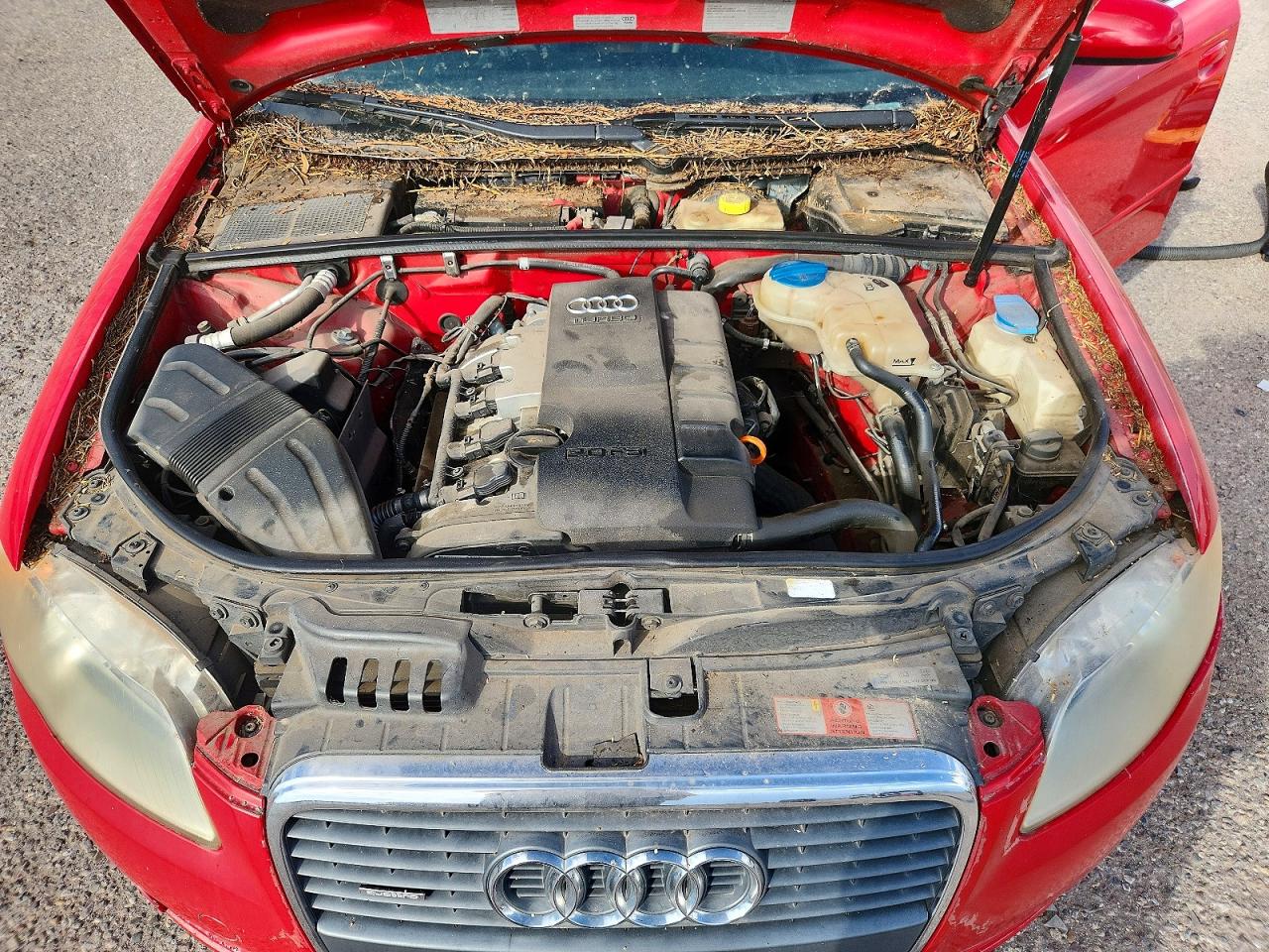 2006 Audi A4 2.0t Quattro Red vin: WAUDF78E66A128543