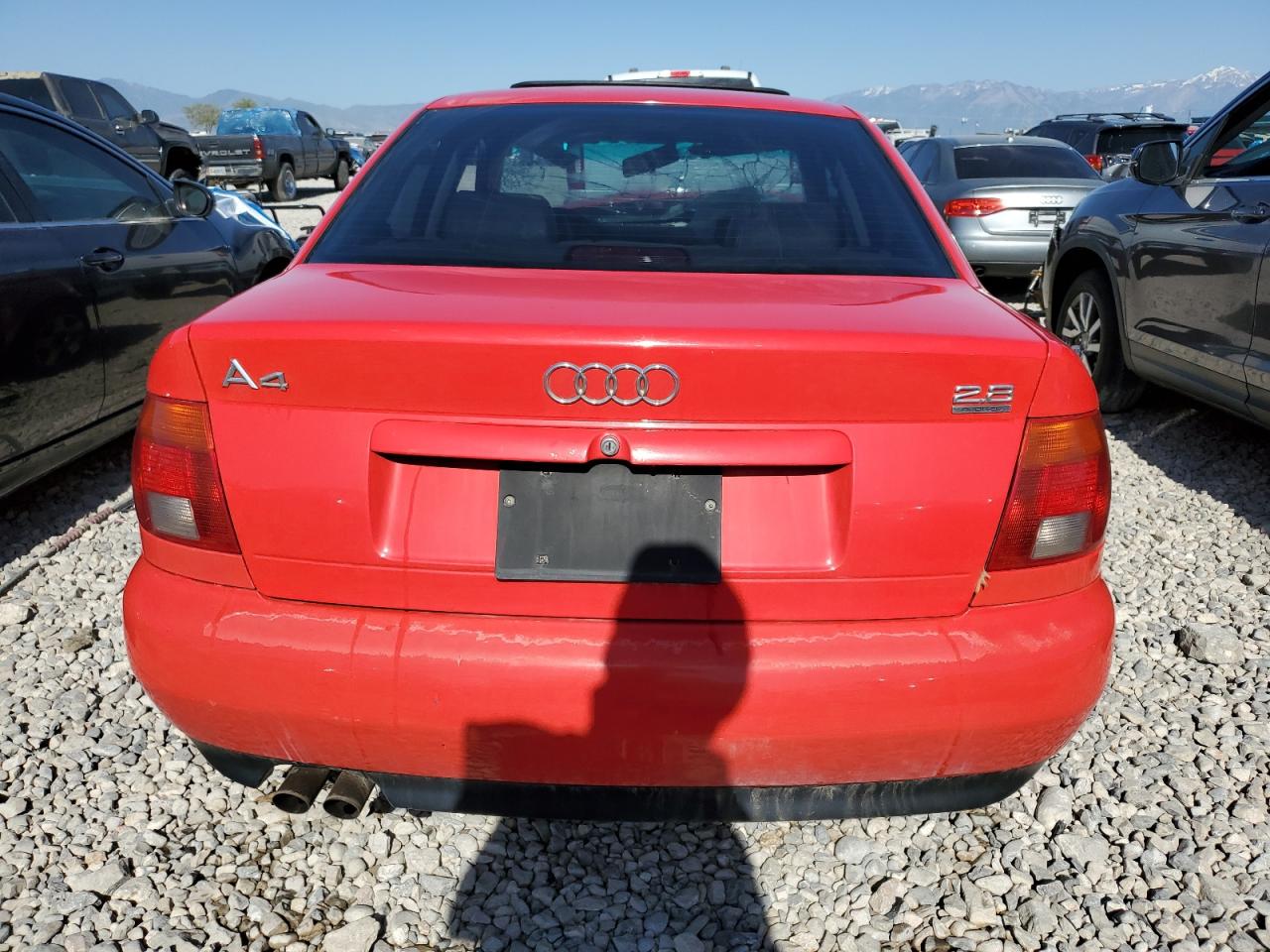 1996 Audi A4 Quattro Красный vin: WAUEA88D6TA269267