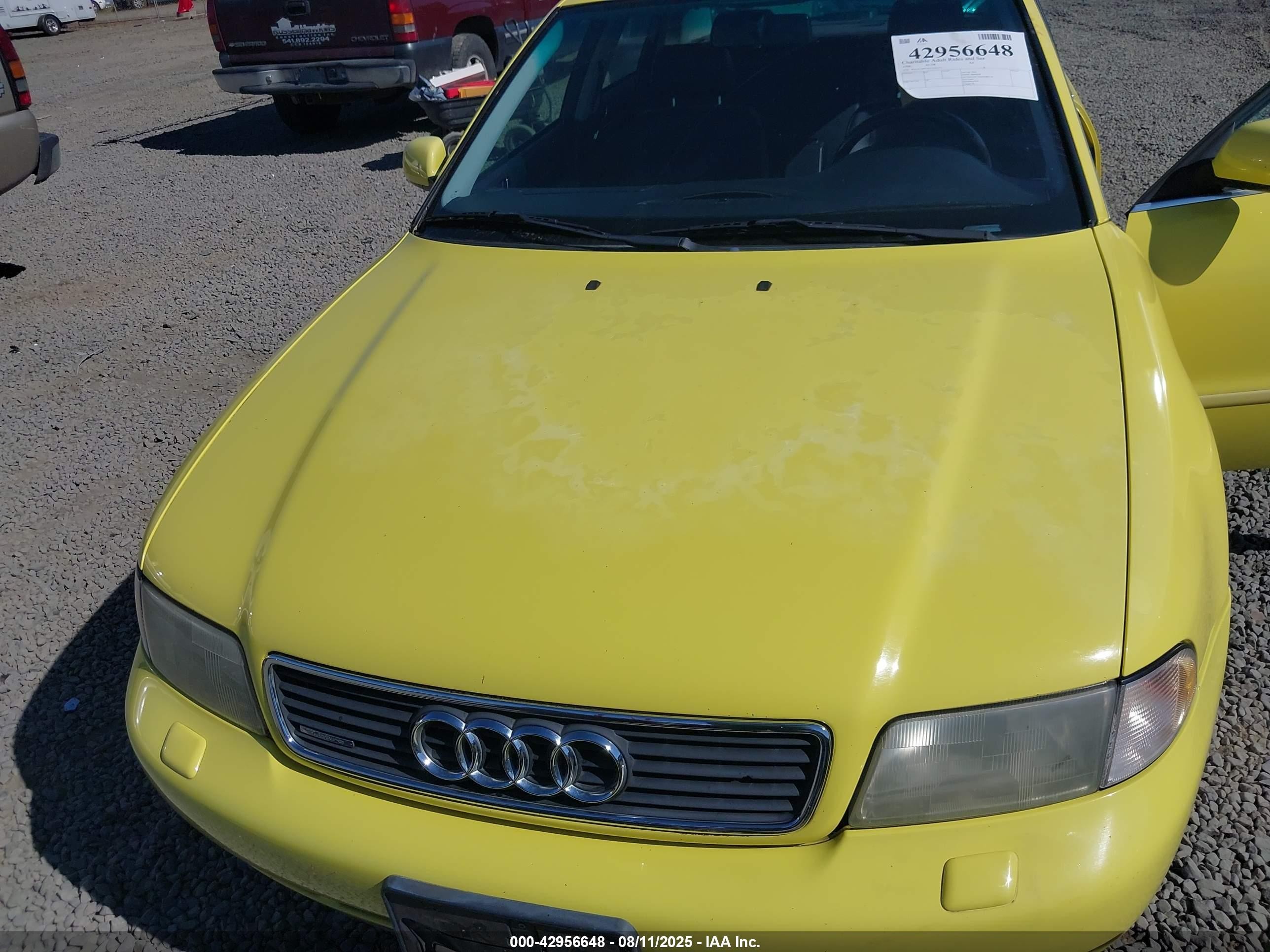 1996 Audi A4 Quattro Yellow vin: WAUEA88DXTA301721