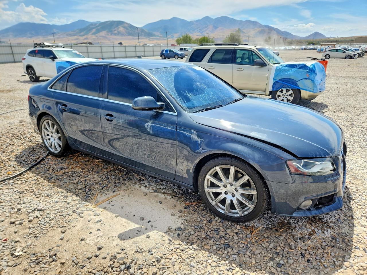2010 Audi A4 Premium Plus Серый vin: WAUEFAFL2AN058219