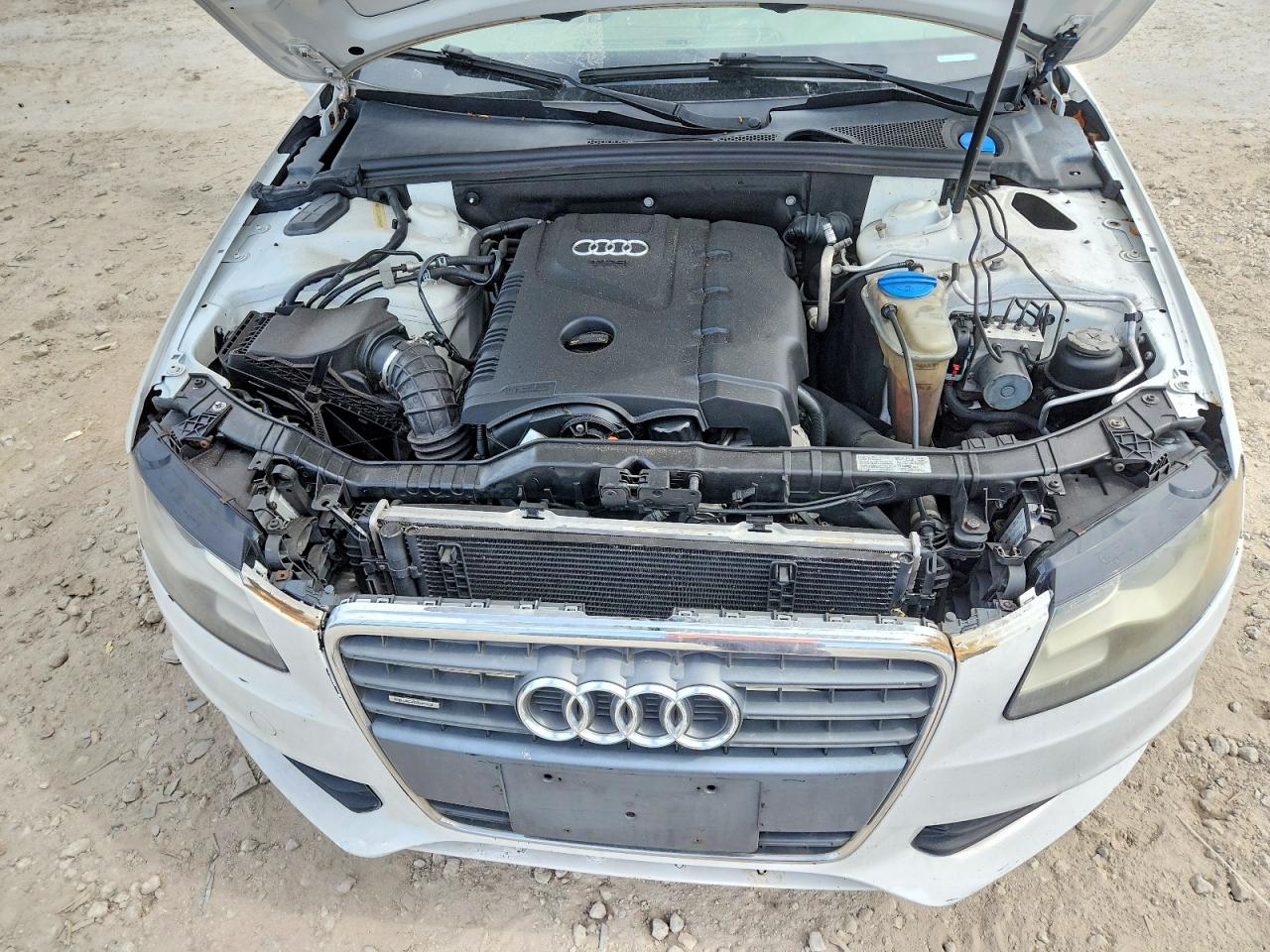 2011 Audi A4 Premium Plus White vin: WAUEFAFLXBN039449