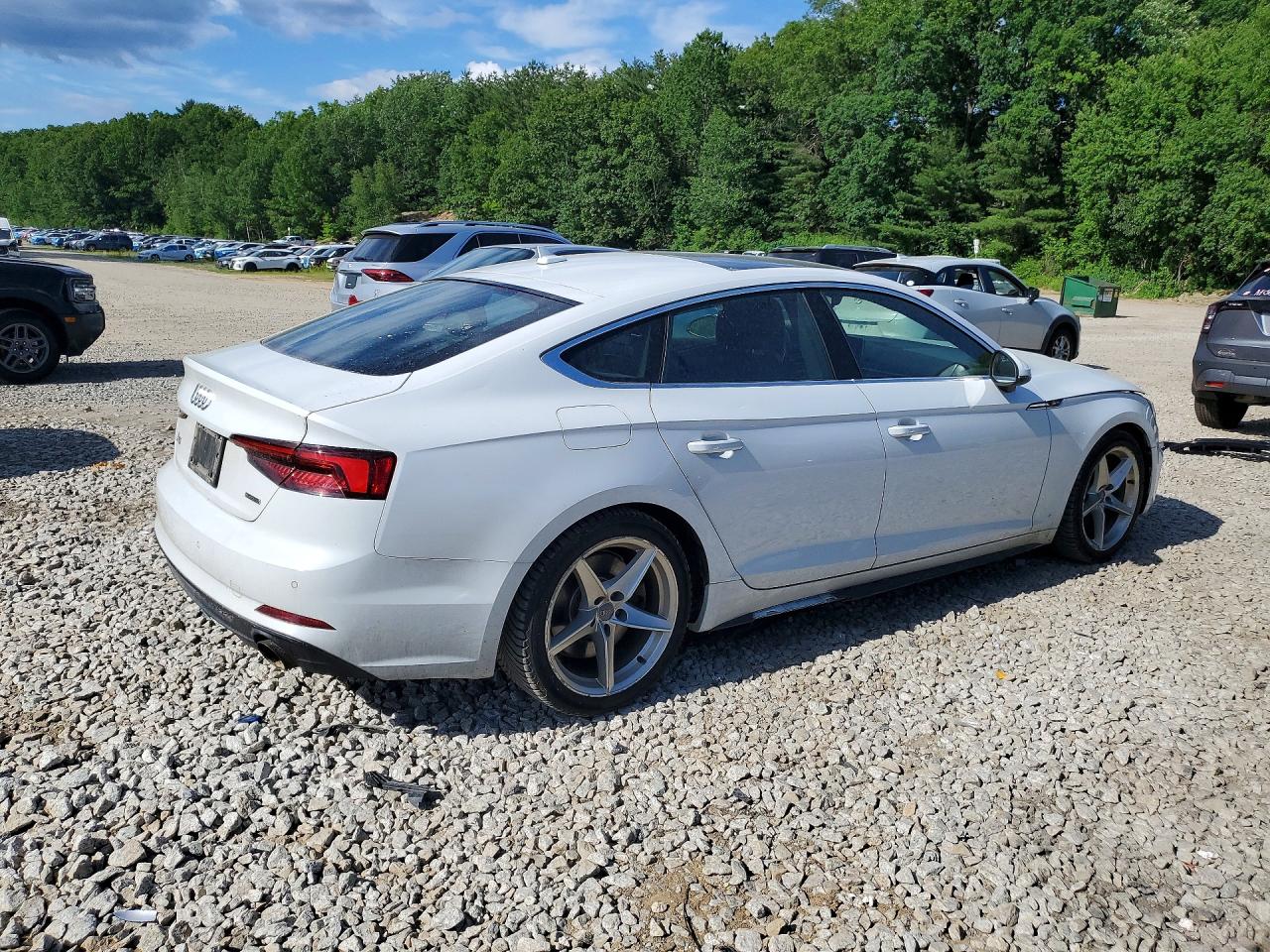 2019 Audi A5 Premium Plus S-line White vin: WAUENCF57KA072996