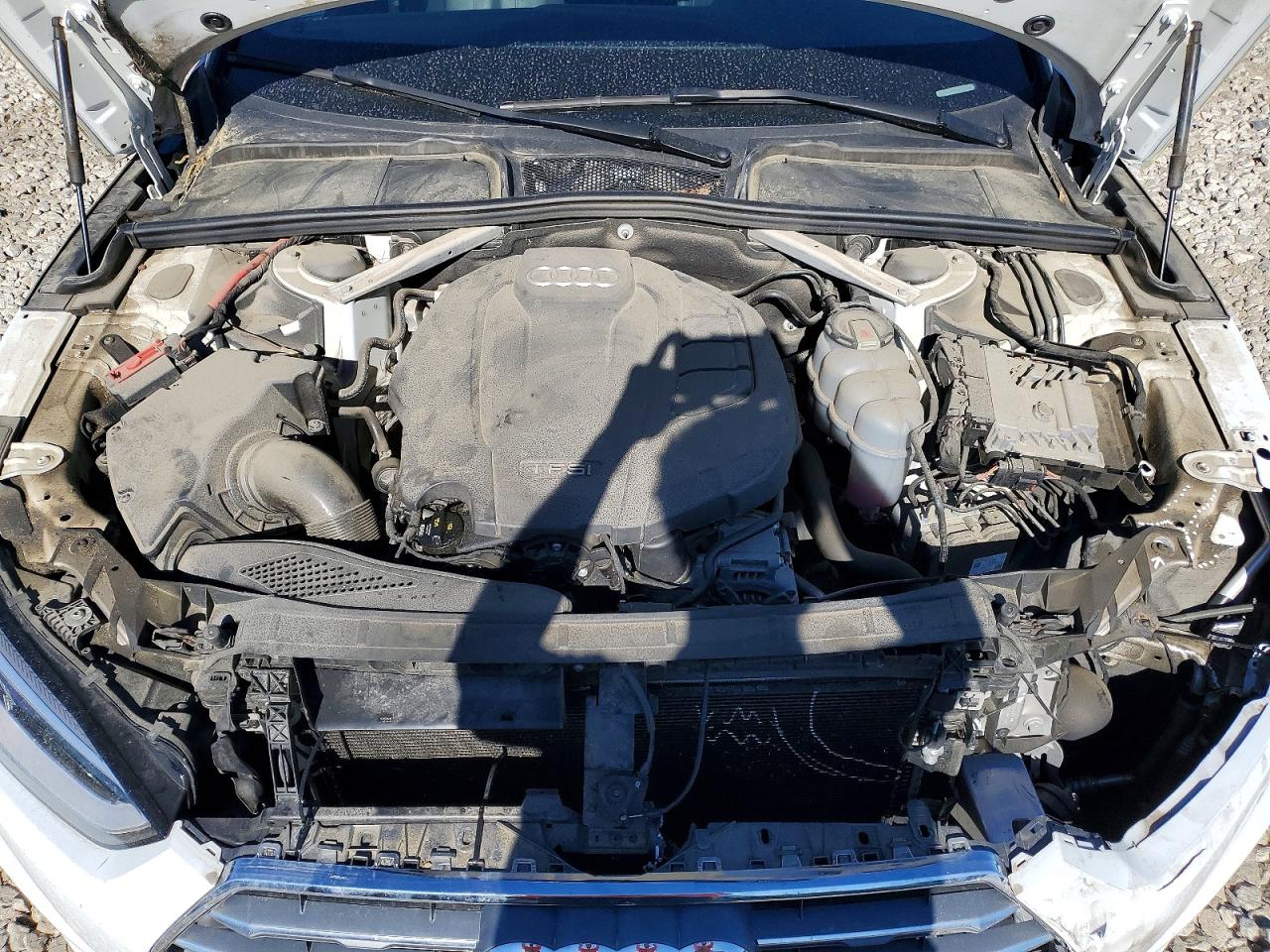 2019 Audi A5 Premium Plus S-line White vin: WAUENCF57KA072996