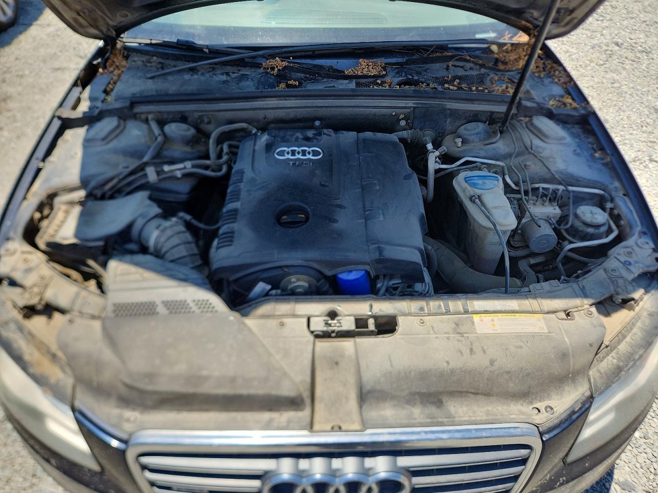 2011 Audi A4 Premium Plus Blue vin: WAUFFAFL5BN018156