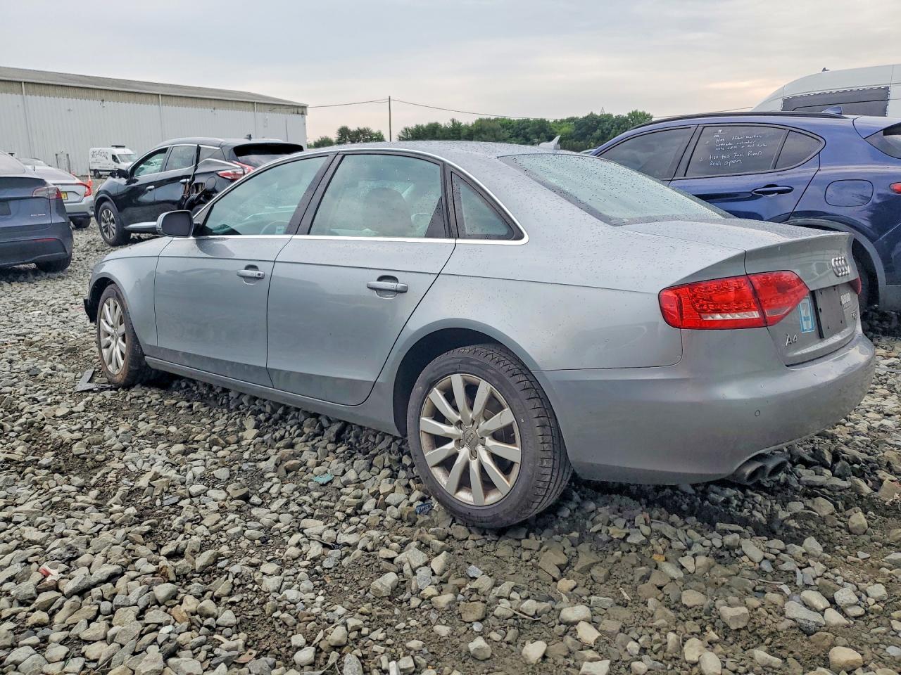 2011 Audi A4 Premium Plus Gray vin: WAUFFAFL5BN019971