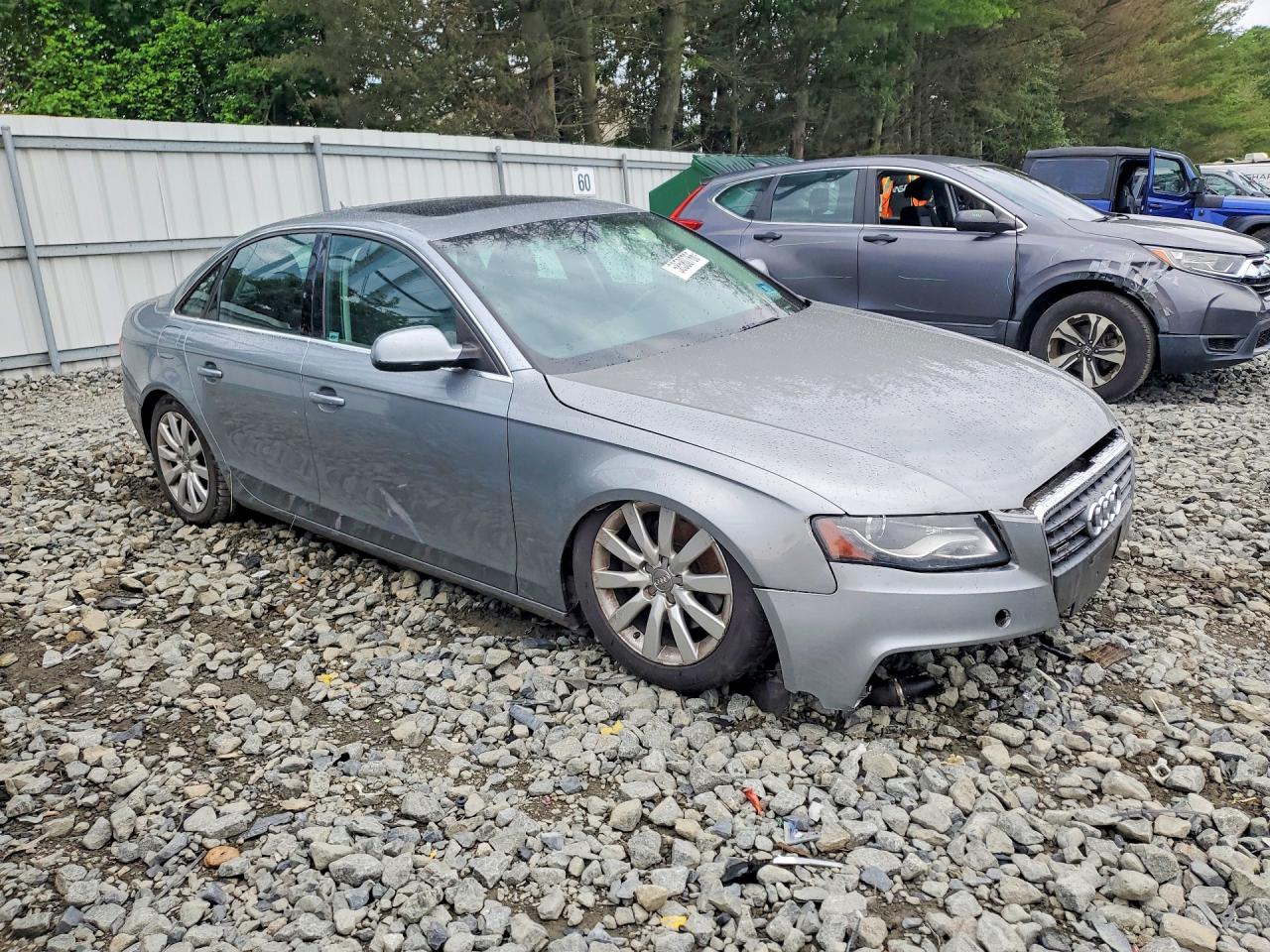 2011 Audi A4 Premium Plus Gray vin: WAUFFAFL5BN019971