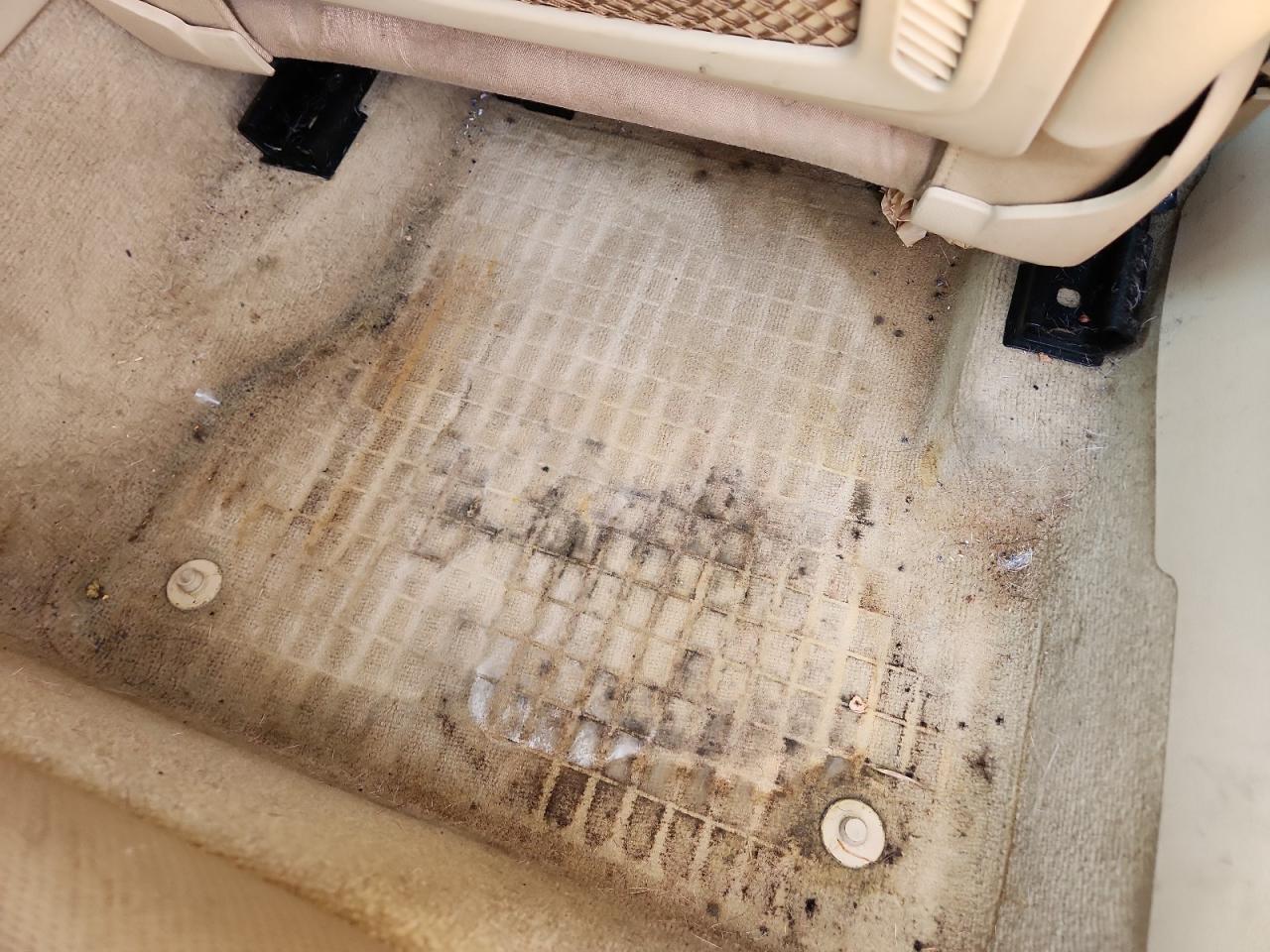 2015 Audi A6 Prestige Black vin: WAUHGAFC0FN025737 Damage: Right Rear Carpet, Stained, Permanent