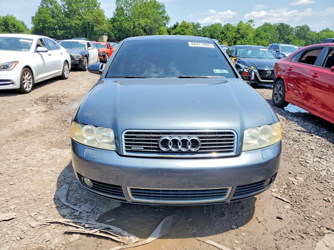 2005 Audi A4 1.8t Quattro Gray vin: WAULC68E95A026537