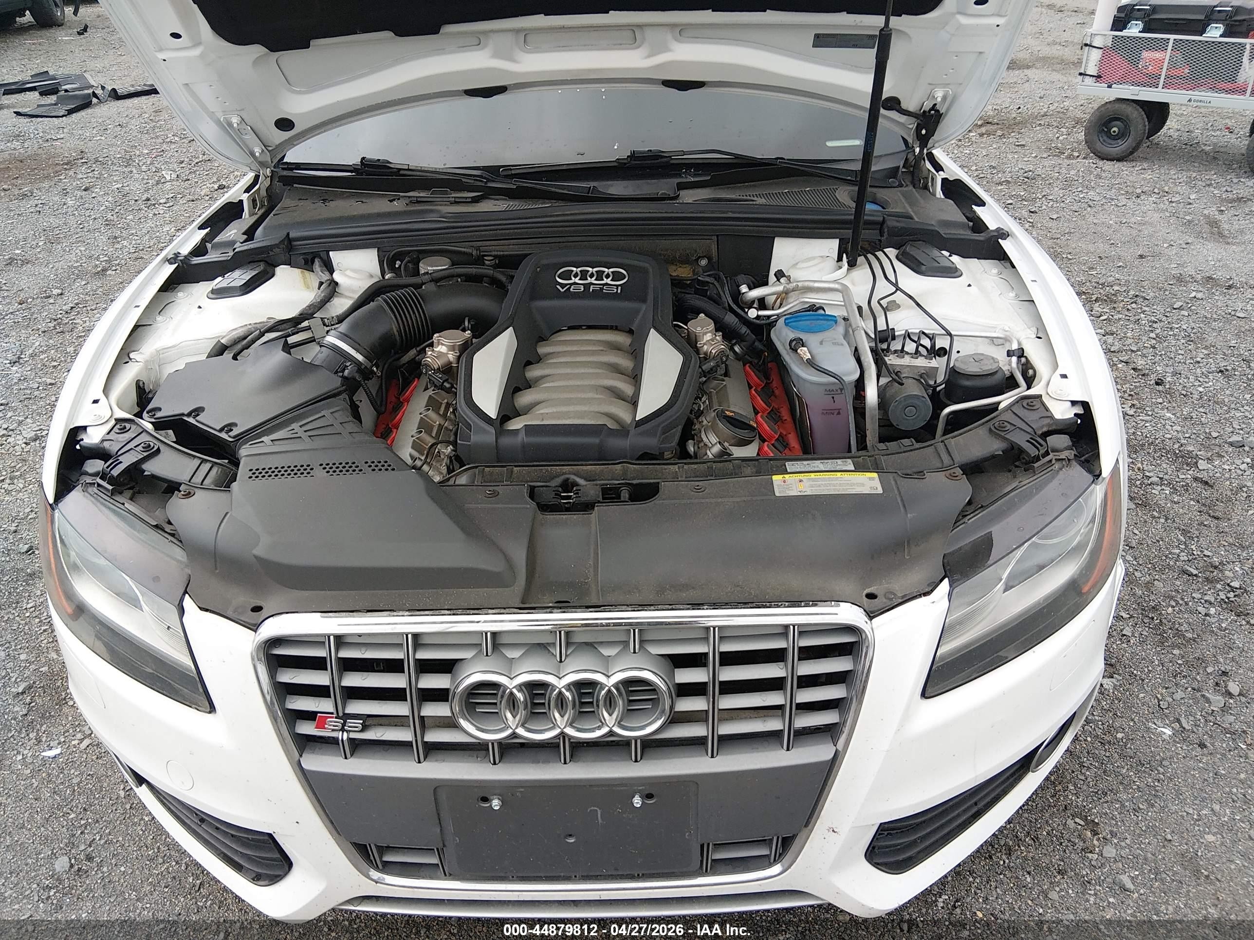 2012 Audi S5 4.2 Premium Plus White vin: WAUVVAFR4CA002655